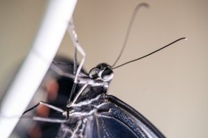 רופא הציל את חייו של חולה בעזרת חלקי לגו – כן, לגו