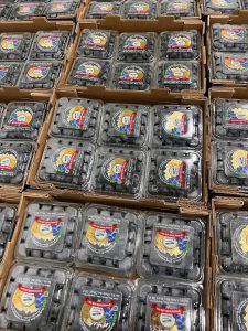 רותם אביטבול ממליץ: פירות יער נוגדי חמצון באוסישקין